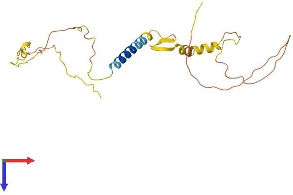 CALY Protein (AA 1-217) (His tag)