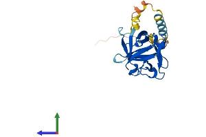 Protein Structure (PS) image for Fibroblast Growth Factor 16 (FGF16) (AA 1-207) protein (His tag) (ABIN7561473)