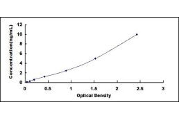 SOX1 ELISA Kit