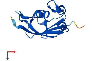 Urm1 Protein (AA 1-101) (His tag)