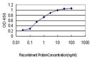 Detection limit for recombinant GST tagged SH3RF2 is approximately 0. (SH3RF2 Antikörper  (AA 640-729))