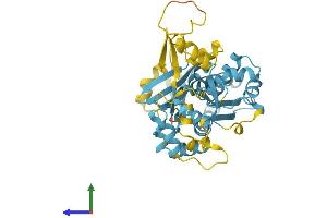 Protein Structure (PS) image for Nitrogen Permease Regulator-Like 2 (S. Cerevisiae) (NPRL2) (AA 1-380) protein (His tag) (ABIN7565219)