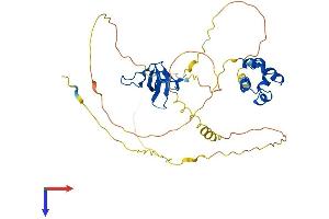 SASH3 Protein (AA 1-380) (His tag)