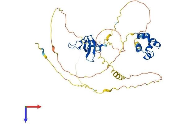 SASH3 Protein (AA 1-380) (His tag)