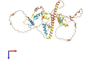 IKZF3 Protein (AA 1-507) (His tag)