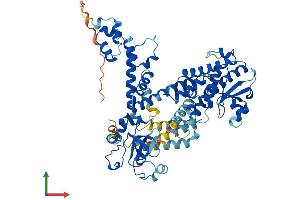 Protein Structure (PS) image for F-Box Protein 21 (FBXO21) (AA 1-627) protein (His tag) (ABIN7559857)