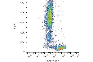Flow cytometry analysis (surface staining) of human peripheral blood cells with anti-human CD229 (HLy9.
