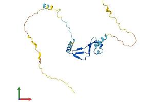 Protein Structure (PS) image for Basic Transcription Factor 3 (BTF3) (AA 1-204) protein (His tag) (ABIN7557814)