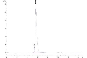 The purity of Biotinylated Human CD5 is greater than 95 % as determined by SEC-HPLC.