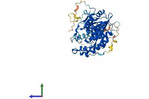 AlphaFold protein structure predicition of Mouse Recombinant B3gnt6 Protein, UniprotID Q3USF0