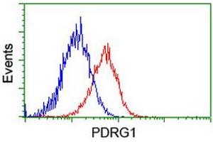 Flow cytometric Analysis of Hela cells, using anti-PDRG1 antibody (ABIN2455631), (Red), compared to a nonspecific negative control antibody, (Blue). (PDRG1 Antikörper)