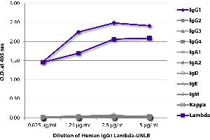 ELISA plate was coated with serially diluted Human IgG1 Lambda-UNLB and quantified. (Human IgG1 Isotyp-Kontrolle)