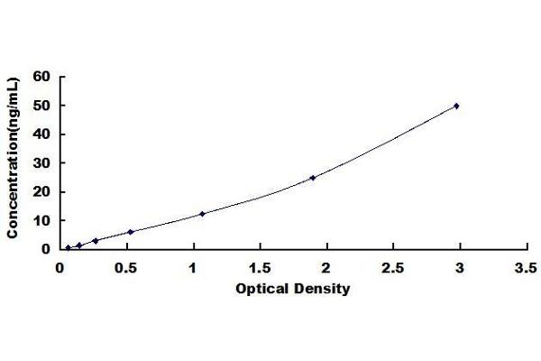 CXCR2 ELISA Kit