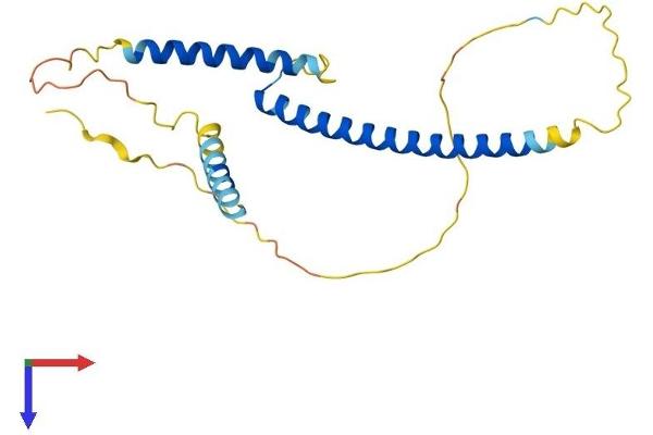 MXD4 Protein (AA 1-209) (His tag)