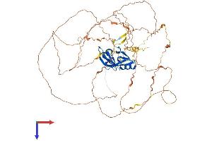 Ataxin 1-Like Protein (ATXN1L) (AA 1-687) (His tag)