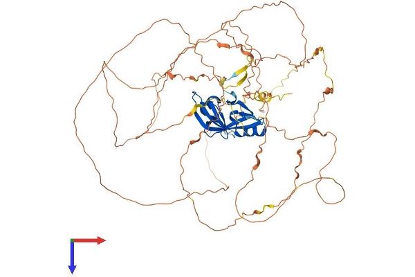 Ataxin 1-Like Protein (ATXN1L) (AA 1-687) (His tag)