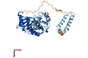 STK25 Protein (AA 1-426) (His tag)