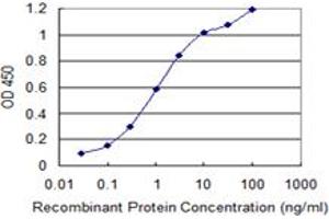 Detection limit for recombinant GST tagged KIT is 0. (KIT Antikörper  (AA 41-140))