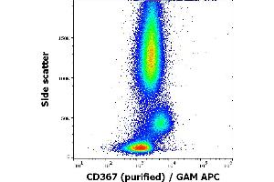 Flow cytometry surface staining pattern of human peripheral whole blood stained using anti-human CD367 (9E8) purified antibody (concentration in sample 0,6 μg/mL, GAM APC). (CLEC4A Antikörper)