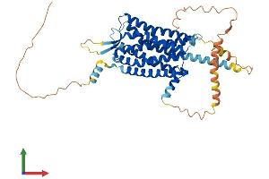 Protein Structure (PS) image for Hypocretin (Orexin) Receptor 2 (HCRTR2) (AA 1-460) protein (His tag) (ABIN7556513)