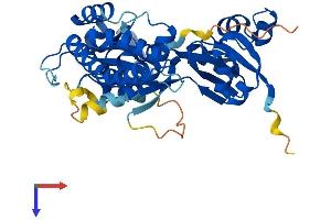 OLA1 Protein (AA 1-396) (His tag)