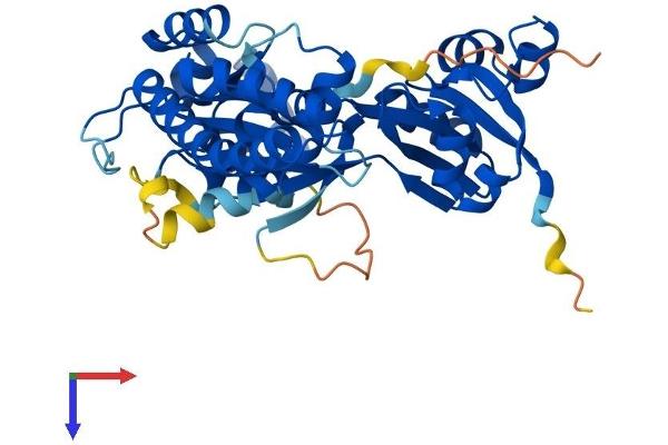 OLA1 Protein (AA 1-396) (His tag)