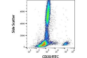 Flow cytometry surface staining pattern of human peripheral whole blood stained using anti-human CD20 (LT20) FITC antibody (20 μL reagent / 100 μL of peripheral whole blood). (CD20 Antikörper  (FITC))