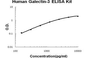 Human Galectin-3/LGALS3 Accusignal ELISA Kit Human Galectin-3/LGALS3 AccuSignal ELISA Kit standard curve. (Galectin 3 ELISA Kit)