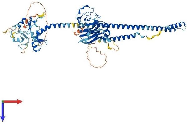 TRIM47 Protein (AA 1-641) (His tag)