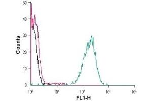 Cell surface detection of FFAR4 in live intact human THP-1 monocytic leukemia cells: (black line) Cells. (O3FAR1 Antikörper  (Extracellular))