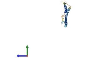 AlphaFold protein structure predicition of Mouse Recombinant Gm136 Protein, UniprotID Q3V037 (Gm136 (AA 1-328) protein (His tag))
