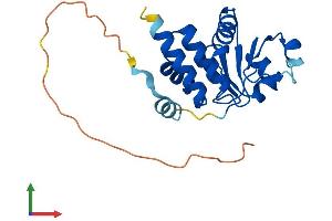 Protein Structure (PS) image for Dual Specificity Phosphatase 26 (DUSP26) (AA 1-211) protein (His tag) (ABIN7547197)