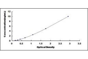 Typical standard curve (Septin 12 ELISA Kit)