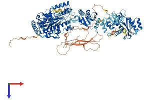 AlphaFold protein structure predicition of Human Recombinant ERVK-10 Protein, UniprotID P10266