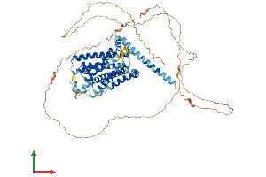 Protein Structure (PS) image for G Protein-Coupled Receptor 50 (GPR50) (AA 1-617) protein (His tag) (ABIN7549523)