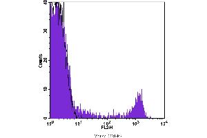 Flow Cytometry (FACS) image for anti-CD8 (CD8) antibody (PE) (ABIN2145435) (CD8 Antikörper  (PE))