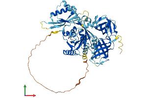 Protein Structure (PS) image for GTP Binding Protein 2 (GTPBP2) (AA 1-602) protein (His tag) (ABIN7548189)