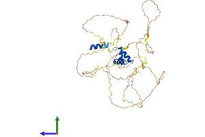 Protein Structure (PS) image for Ligand Dependent Nuclear Receptor Corepressor (Lcor) (AA 1-433) protein (His tag) (ABIN7558137)