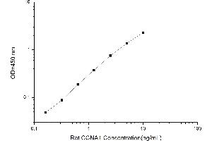 Cyclin A1 ELISA Kit