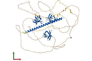 AlphaFold protein structure predicition of Mouse Recombinant Sh3kbp1 Protein, UniprotID Q8R550