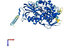 PTGIS Protein (AA 1-501) (His tag)