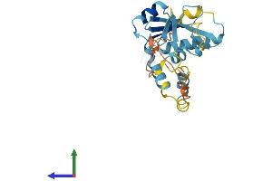 Protein Structure (PS) image for Suppressor of Cytokine Signaling 3 (SOCS3) (AA 1-225) protein (His tag) (ABIN7562372)