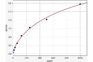 Interleukin 34 (IL34) ELISA Kit