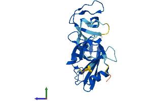 Protein Structure (PS) image for Growth Factor Receptor-Bound Protein 2 (GRB2) (AA 1-217) protein (His tag) (ABIN7557582)