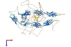 AlphaFold protein structure predicition of Mouse Recombinant Fndc3c1 Protein, UniprotID Q6DFV6