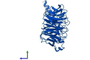 Protein Structure (PS) image for Guanine Nucleotide Binding Protein (G Protein), beta Polypeptide 3 (GNB3) (AA 1-340) protein (His tag) (ABIN7547865)