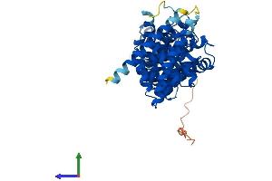 Protein Structure (PS) image for F-Box Protein 47 (FBXO47) (AA 1-451) protein (His tag) (ABIN7561869)