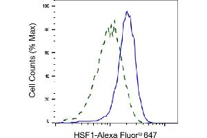 Validation of HSF1 knockdown using flow cytometry.