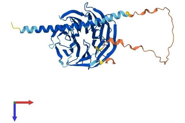 POC1A Protein (AA 1-405) (His tag)