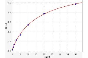 Elastin ELISA Kit